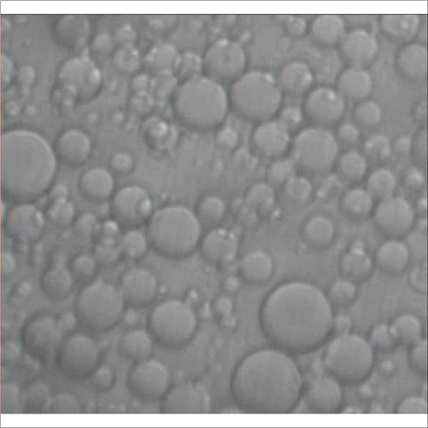 CHROMATOGRAPHY BEADS