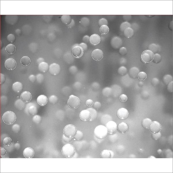 ĐO KÍCH THƯỚC HẠT POLYSTYRENE GIÃN NỞ