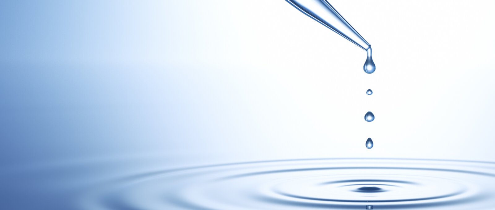 -C1371-8857696533203x583