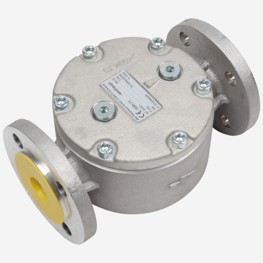 Filter DN25 WF 3025-1 for all gases PB